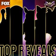 Season 5 Top 5 reveals