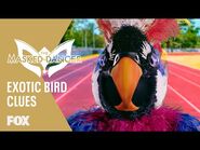 The Clues- Exotic Bird - Season 1 Ep