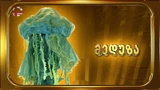 MeduzaGE
