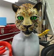 Close-up shot of Leopard's mask