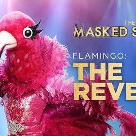 Flamingo Us The Masked Singer Wiki Fandom