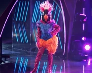 Exotic Bird before dancing to "Opposites Attract"