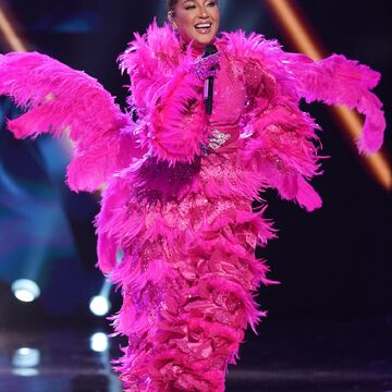 Flamingo Us The Masked Singer Wiki Fandom