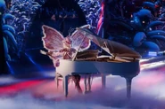 Babochka during her New Year's performance