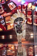 Boi-Bumbá during his first performance