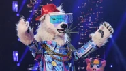 Polar Bear on "New York Night"