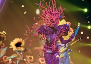 Coral during her second main performance