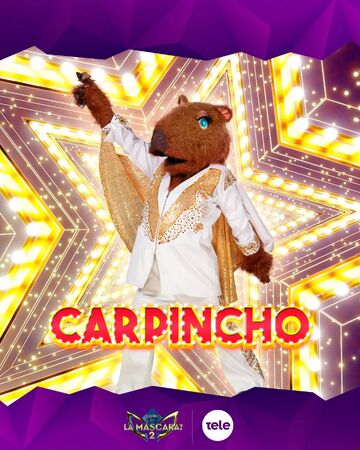 the mask singer capivara｜TikTok Search