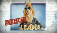 Llama’s Clue Intro