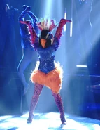 Exotic Bird dancing to "Latch"