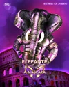 ElefantePTs5