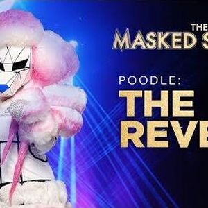 View The Masked Singer Season 1 Poodle Pictures