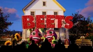 Beets' 1st clue intro