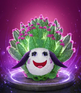 TMS-US S12-LeafSheep