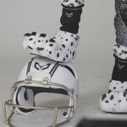 Dalmatian's feet and helmet