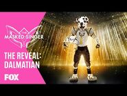 The Reveal- Dalmatian - Season 6 Ep