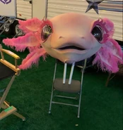 Close-up of Axolotl's mask