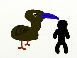 A dotular compared to a human