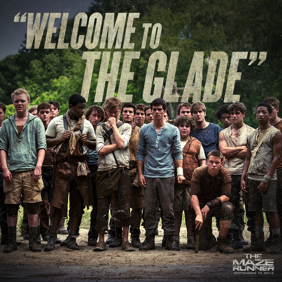 Gally, Wikia The Maze Runner