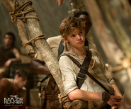 Newt 2