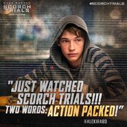 TST affiche commentaire ACTION PACKED