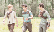 Newt Minho Thomas