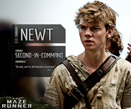 Identity Newt