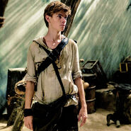 Newt image