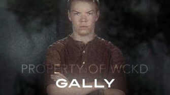 The_Maze_Runner_-_Character_Piece_(Gally)