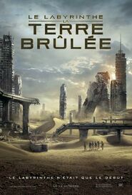 Affiche La Terre Brûlée