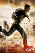 TST affiche SOLVE THE SCORCH