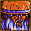 NinjaMasterIcon.png