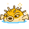 Golden Blowfish