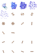 Ninja's 8-bit Game Over spritesheet.