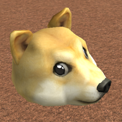 Category:Doge items, Roblox Wiki