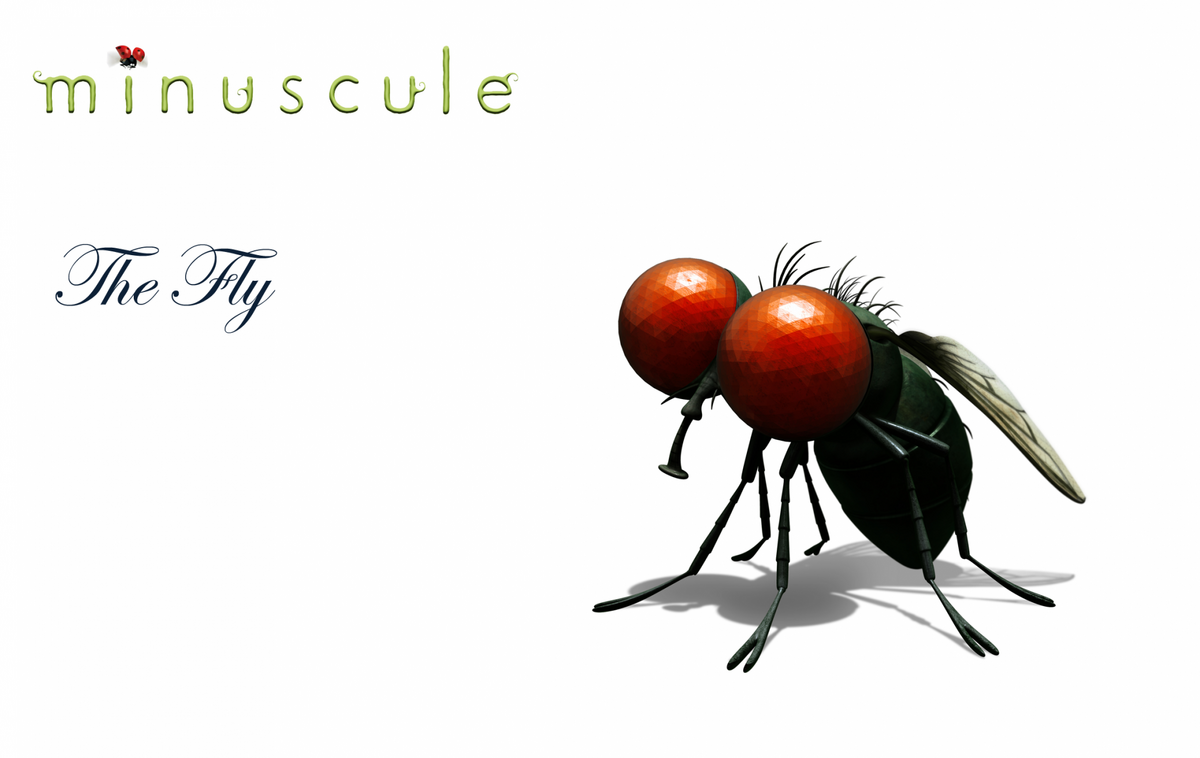 Fly | The Minuscule Wiki | Fandom