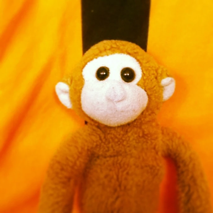Bongo The Monkey Club Wiki Fandom