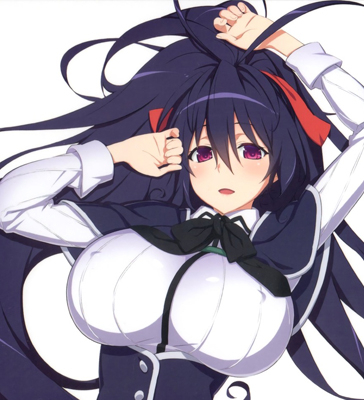 Akeno Himejima, Wiki High School DxD