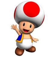 Toad8