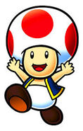 Toad:The Brains of the team