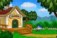 The front view of mario's house