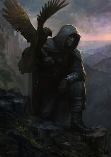 Falconer.jpg