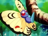 Orange- and Yellow-winged Butterfree