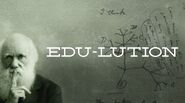 Edu-lution - Pidgey