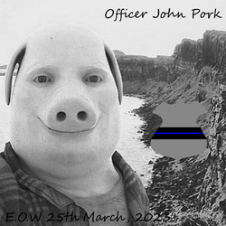 John Pork, The Neighborhood of Robloxia Wiki