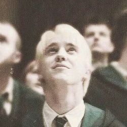 Category House Of Malfoy The New Au Wiki Fandom