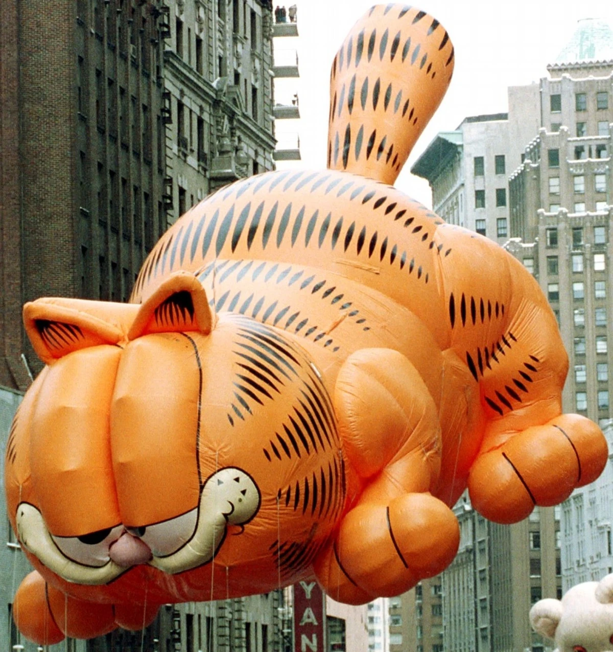 Garfield (TheCreativeCanadian's Version) The New Macy's Parade Wikia