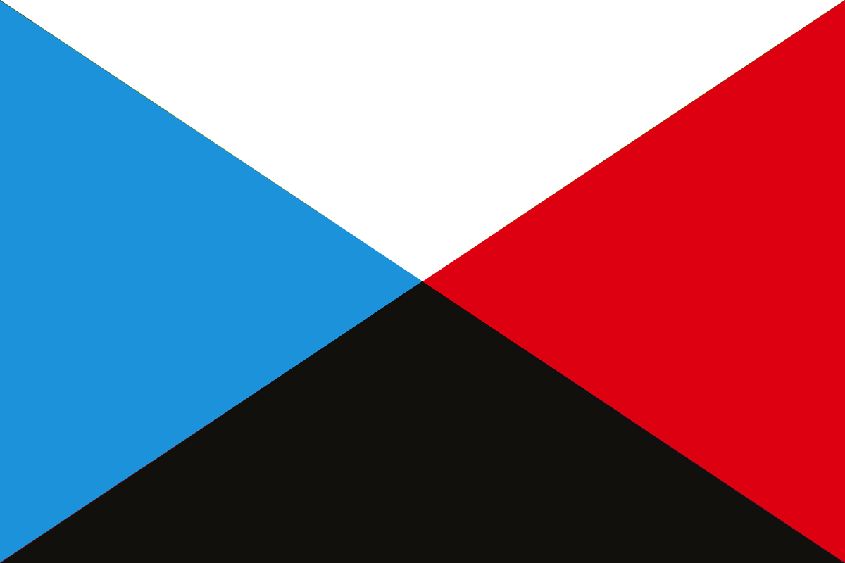 Флаги тно. Флаг Коми TNO. Флаг Коми the New order. Флаги из the New order. Флаг России TNO