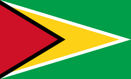 Flag of Guyana