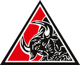 PNI Logo